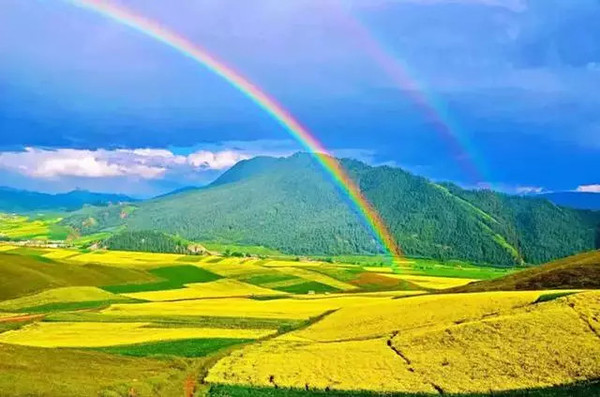 青海,深度解读高原魅力与独特风情评论文章