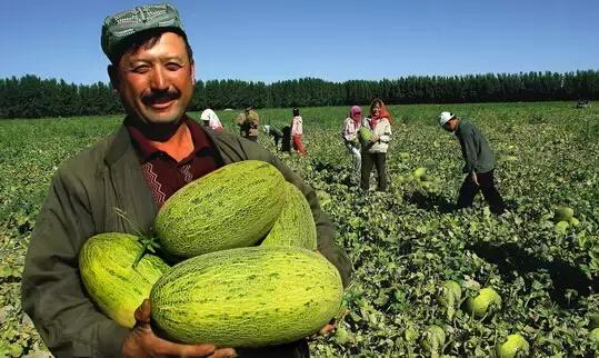 新疆之光，引领科技生活新纪元的领先高科技产品介绍