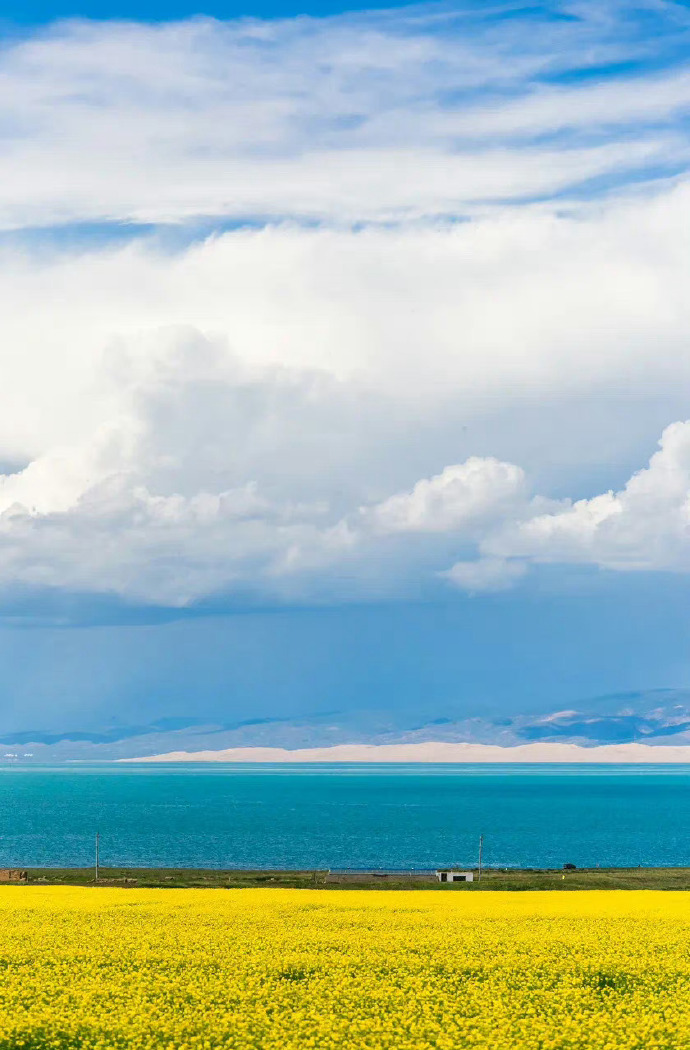 青海草原之旅，温馨踏歌行