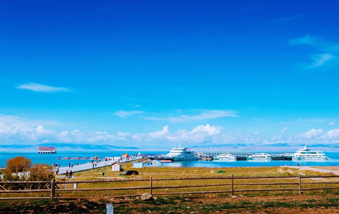 青海草原之旅,温馨踏歌行