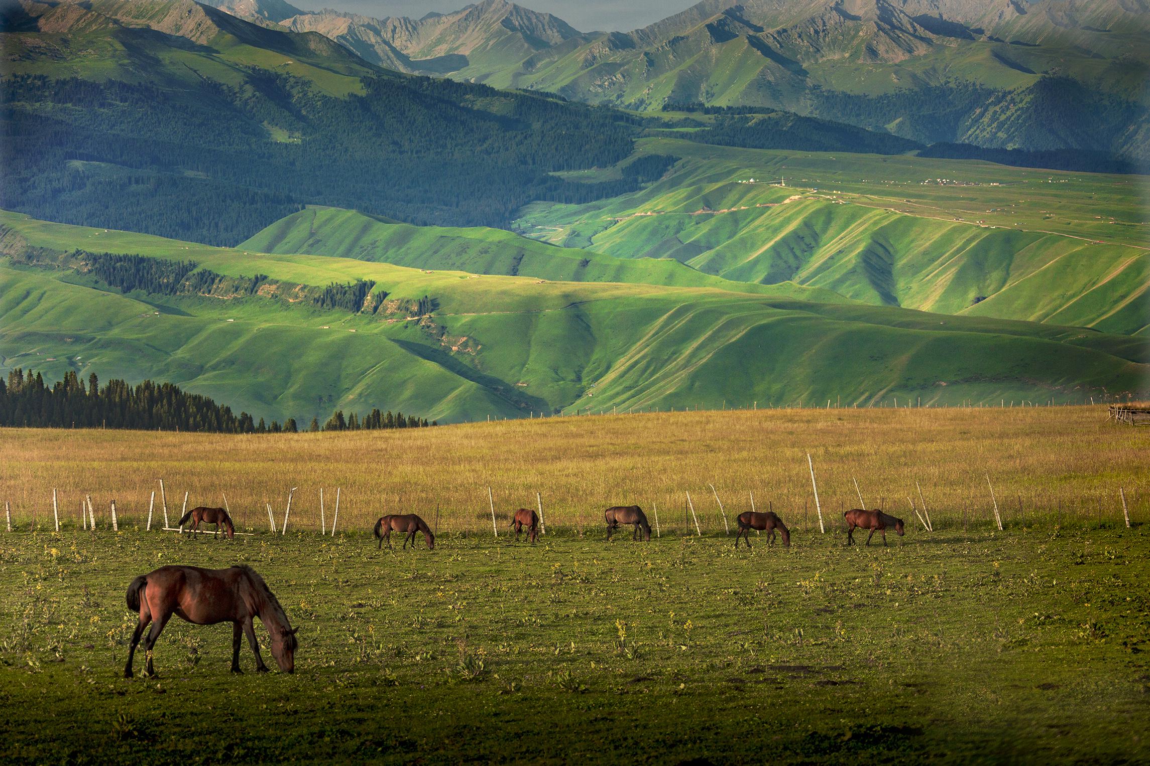 新疆,多元文化交融下的民族和谐之光
