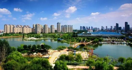 衡水，嘉宾云集，友谊之花盛开