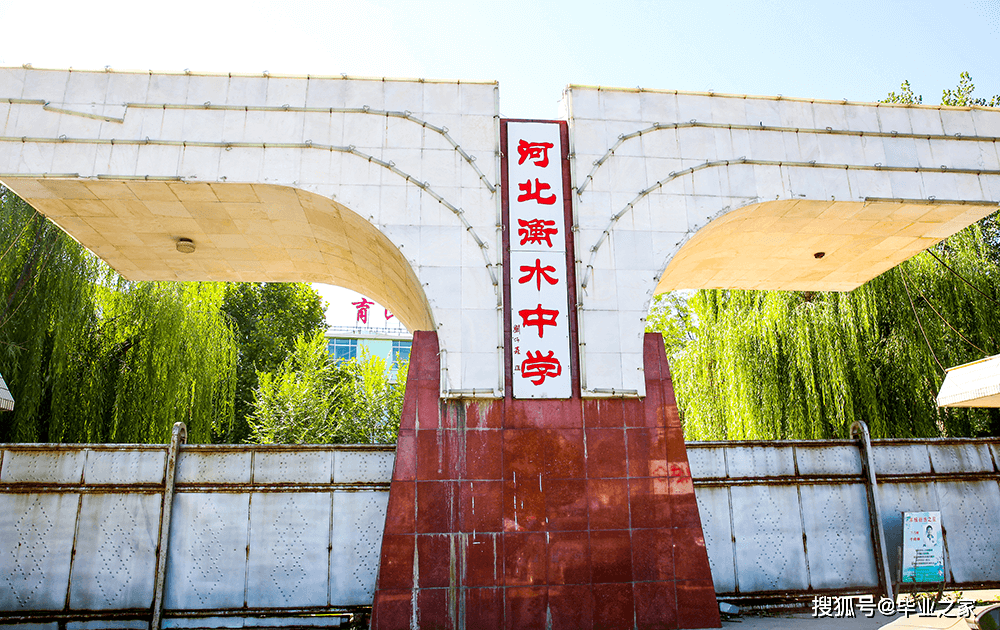 衡水,嘉宾云集,友谊之花盛开